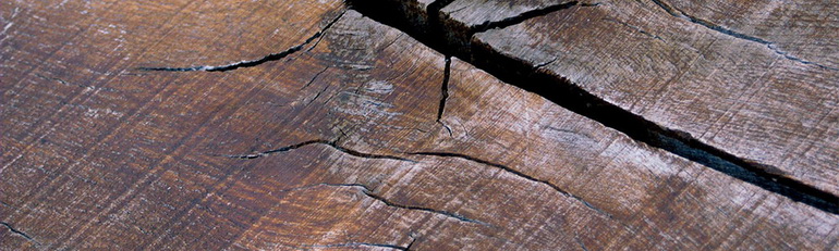 Дефект древесины - трещина