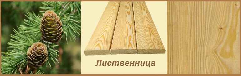 Свойства доски из лиственницы сибирской